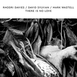 Rhodri Davies / David Sylvian / Mark Wastell There Is No Love Vinyl LP USED