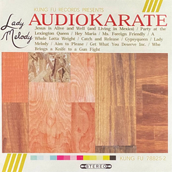 Audio Karate Lady Melody Vinyl LP USED
