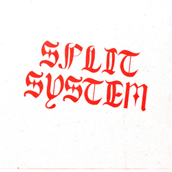 Split System Split System Vinyl 7" USED