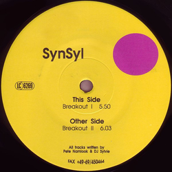Synsyl Synsyl Vinyl 12" USED