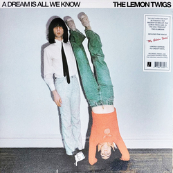 The Lemon Twigs A Dream Is All We Know Vinyl LP USED