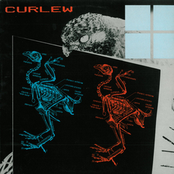Curlew Curlew Vinyl LP USED