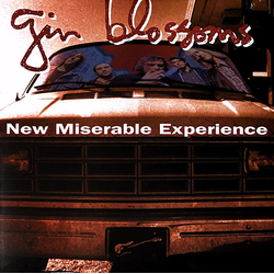 Gin Blossoms New Miserable Experience Vinyl LP USED