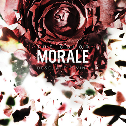 The Color Morale Desolate Divine Vinyl LP USED