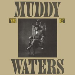 Muddy Waters King Bee Vinyl LP USED
