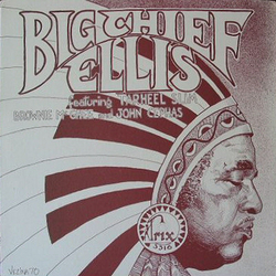 Big Chief Ellis / Tarheel Slim / Brownie McGhee / John Cephas Big Chief Ellis Vinyl LP USED