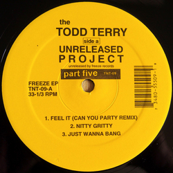Todd Terry The Todd Terry Unreleased Project Part 5 Vinyl 12" USED