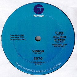 3070 Vision Vinyl 12" USED