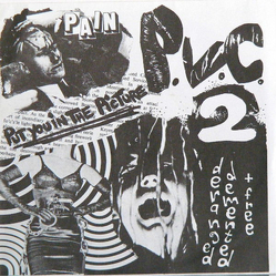 PVC2 Put You In The Picture Vinyl 7" USED