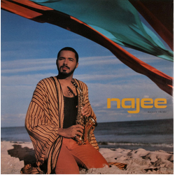 Najee Najee's Theme Vinyl LP USED