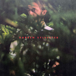 Darren Sylvester Darren Sylvester Vinyl LP USED