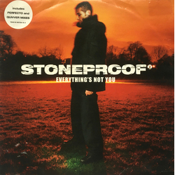 Stoneproof Everything's Not You Vinyl 12" USED