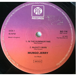 Mungo Jerry In The Summertime Vinyl 12" USED