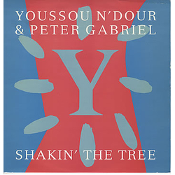 Youssou N'Dour / Peter Gabriel Shakin' The Tree Vinyl 12" USED