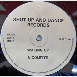 Nicolette Waking Up Vinyl 12" USED