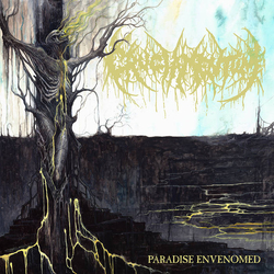 Cruciamentum Paradise Envenomed Vinyl 7" USED