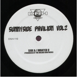 The Holder Brothers / Nick Holder Sunnyside Pavilion Vol 2 Vinyl 12" USED