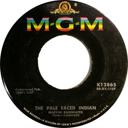 Marvin Rainwater The Pale Faced Indian Vinyl 7" USED
