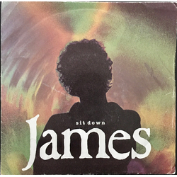 James Sit Down Vinyl 7" USED