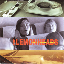 The Lemonheads Into Your Arms Vinyl 7" USED