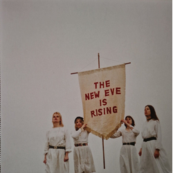 The New Eves The New Eve Is Rising Multi Vinyl LP/Vinyl 7" USED