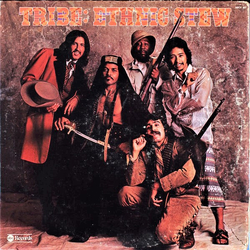 Tribe Ethnic Stew Vinyl LP USED