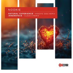 Nookie Natural Experience / Innerspace Vinyl 12" USED