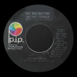 Nelson Briles She Was Waiting On The Corner Vinyl 7" USED
