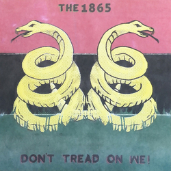 The 1865 Don't Tread On We! Vinyl LP USED