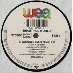 Beautiful World In Existence VINYL 12" USED