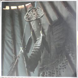State Faults Head In The Clouds Vinyl 12" USED
