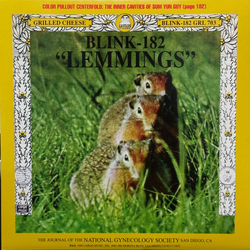 Blink-182 / Swindle Lemmings / Going Nowhere Vinyl 7" USED