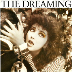 Kate Bush The Dreaming Vinyl LP USED