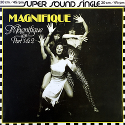 Magnifique Magnifique (Part 1 & 2) Vinyl 12" USED