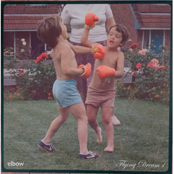 Elbow Flying Dream 1 Vinyl LP USED