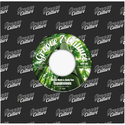 Micky More & Andy Tee Expansions / Time Vinyl 7" USED