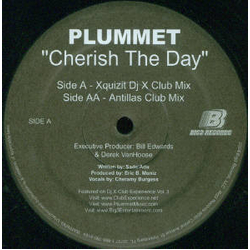 Plummet Cherish The Day Vinyl 12" USED