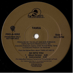 Tamia So Into You Vinyl 12" USED