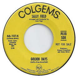 Sally Field Golden Days / You're A Grand Old Flag Vinyl 7" USED