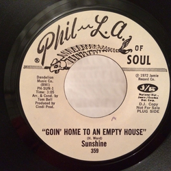 Sunshine (31) Goin' Home To An Empty House / Leave Me (And See What Happens) Vinyl 7" USED