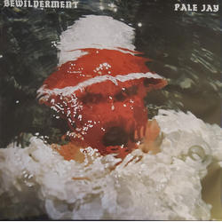 Pale Jay Bewilderment Vinyl LP USED