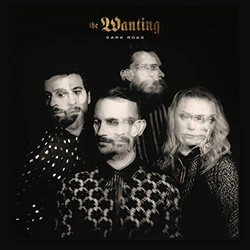 The Wanting Dark Road Vinyl LP USED