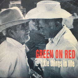 Green On Red Little Things In Life Vinyl 7" USED