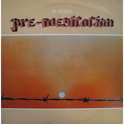 The Melodians Pre-Meditation Vinyl LP USED