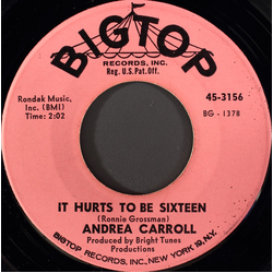 Andrea Carroll It Hurts To Be Sixteen Vinyl 7" USED