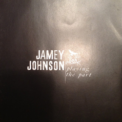Jamey Johnson Playing The Part Vinyl 7" USED