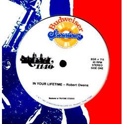 Robert Owens (2) / American Montage In Your Lifetime / Haven't You Seen Me Vinyl 12" USED