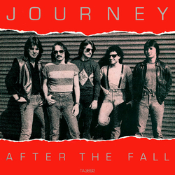 Journey After The Fall Vinyl 12" USED
