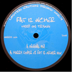 Fat 12"Incher Keep On Trying Vinyl 12" USED