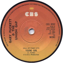 Gary Puckett & The Union Gap Young Girl Vinyl 7" USED